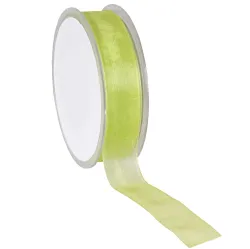 Organza Woven Edge Ribbon; Light Green